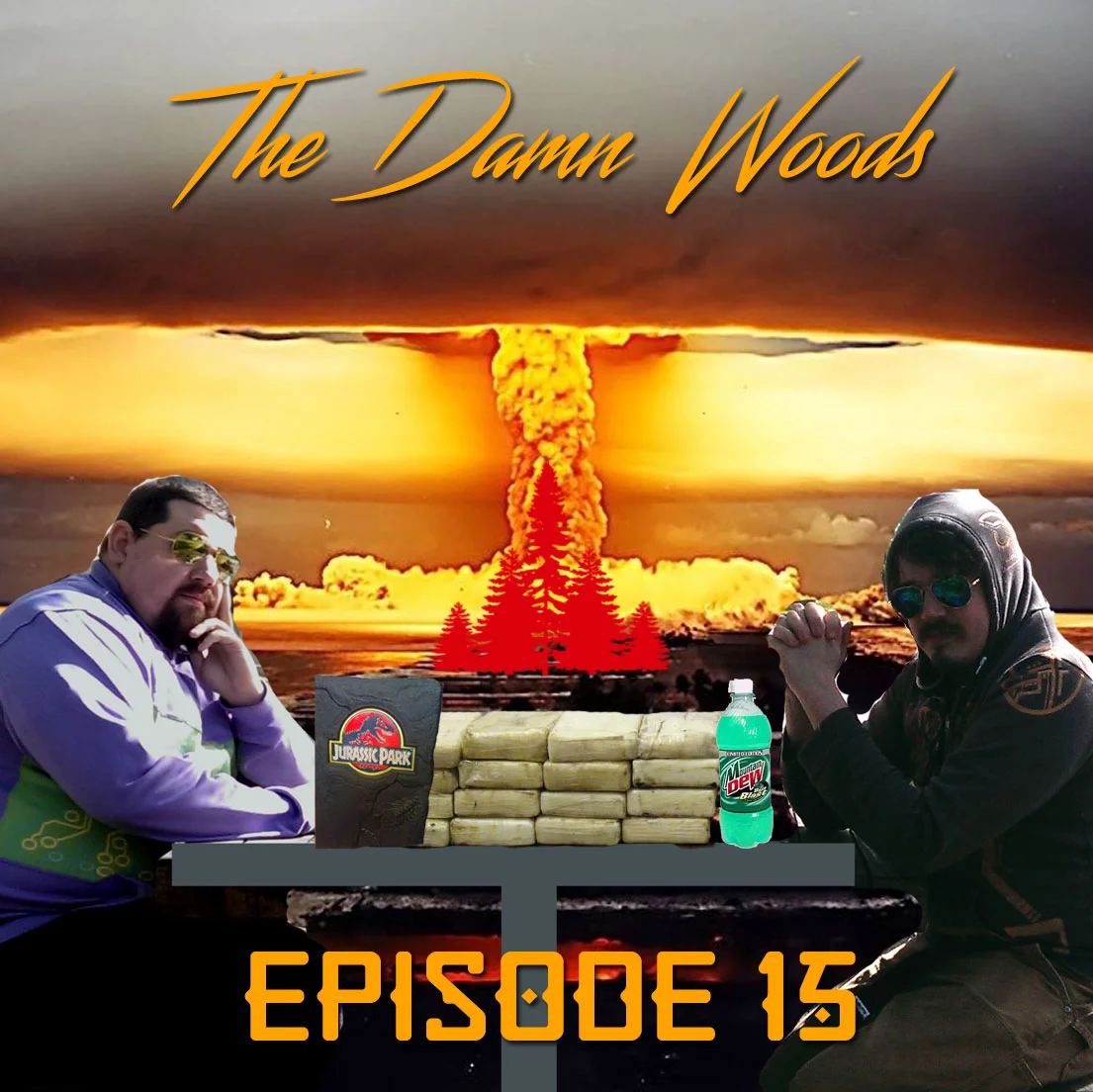 Episode 15: The Damn Woods will be speaking at Bilderberg 2016