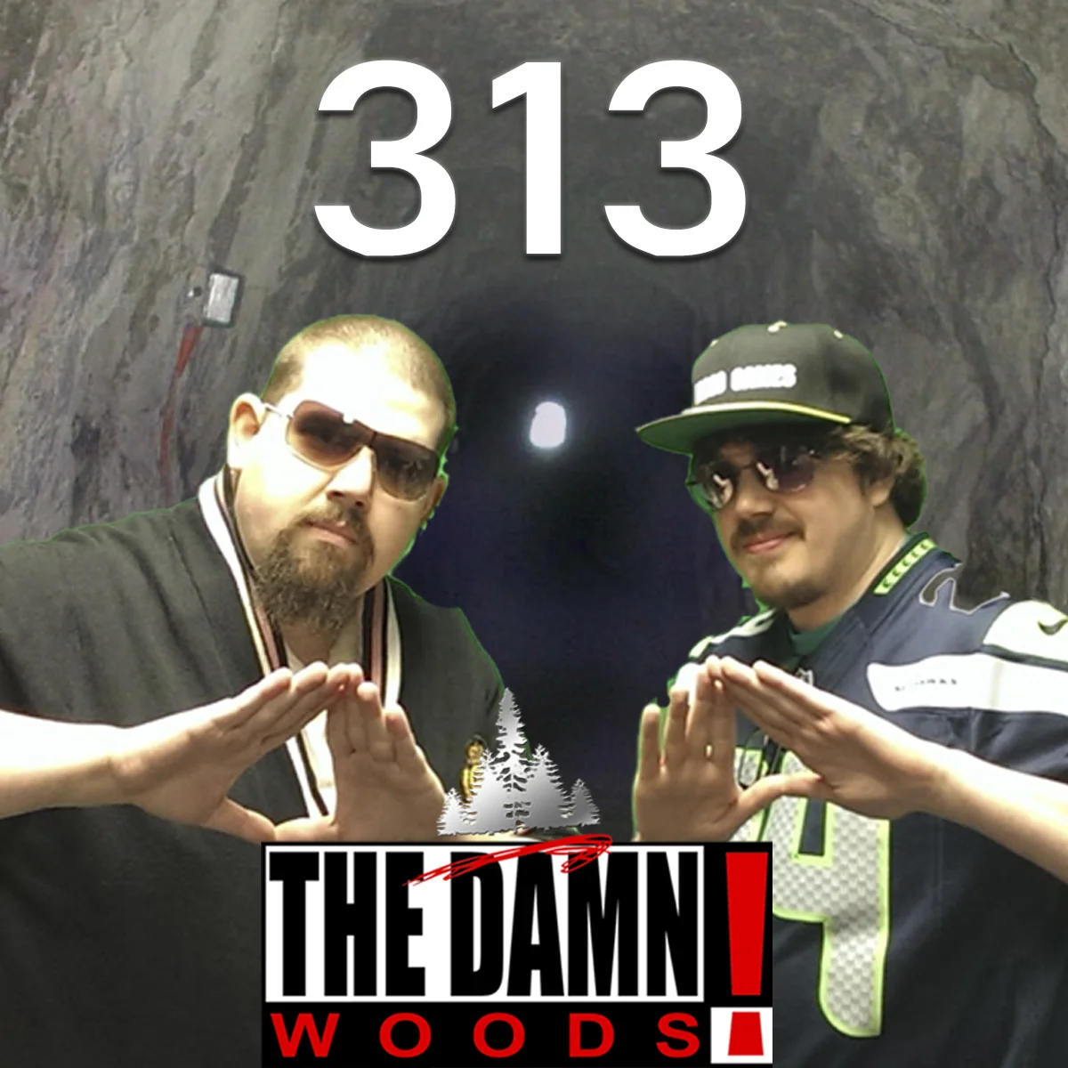 Episode 313: Podcast Status: Augmented episode artwork