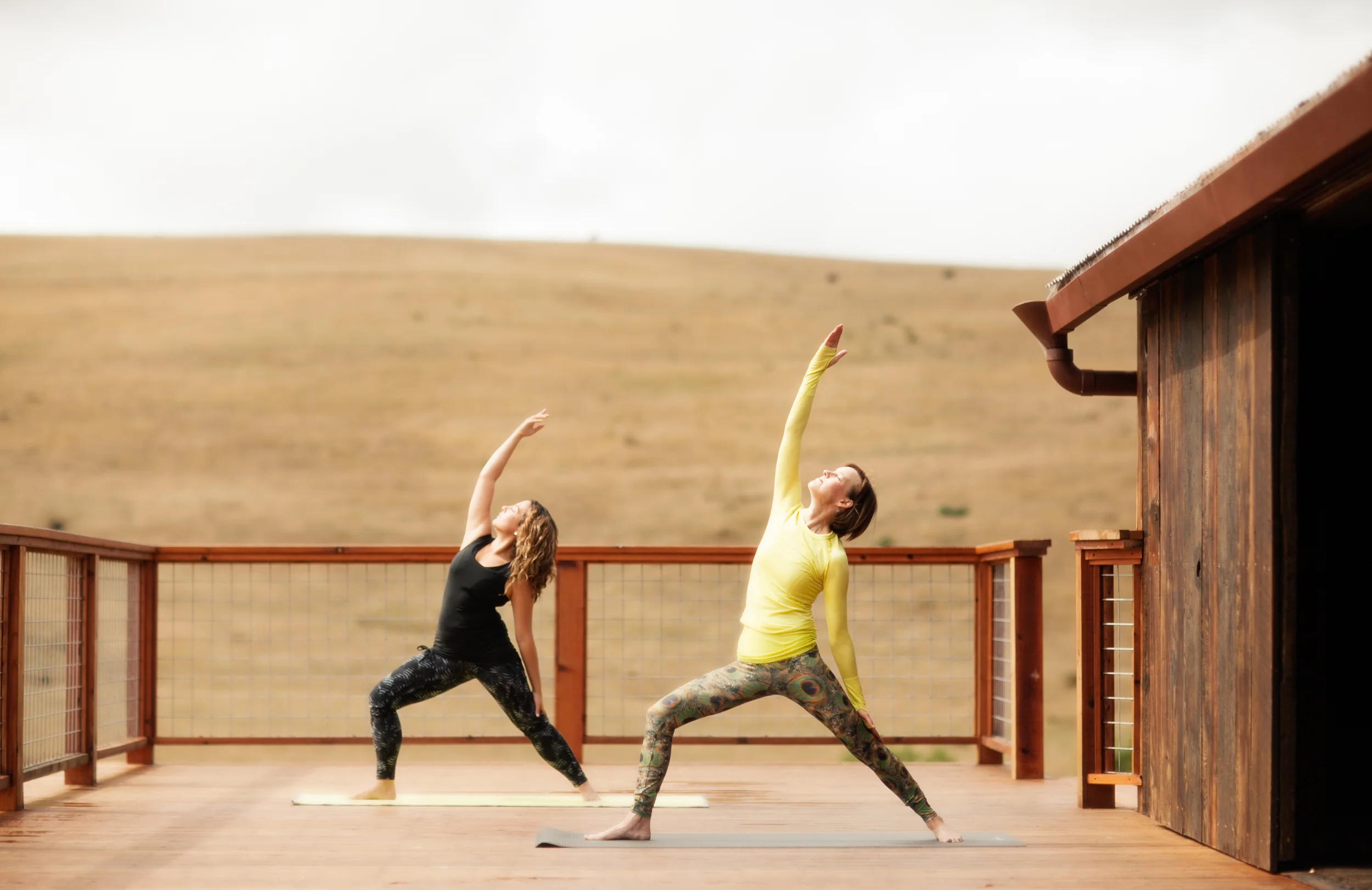 THF_stemple_yoga0022.jpg