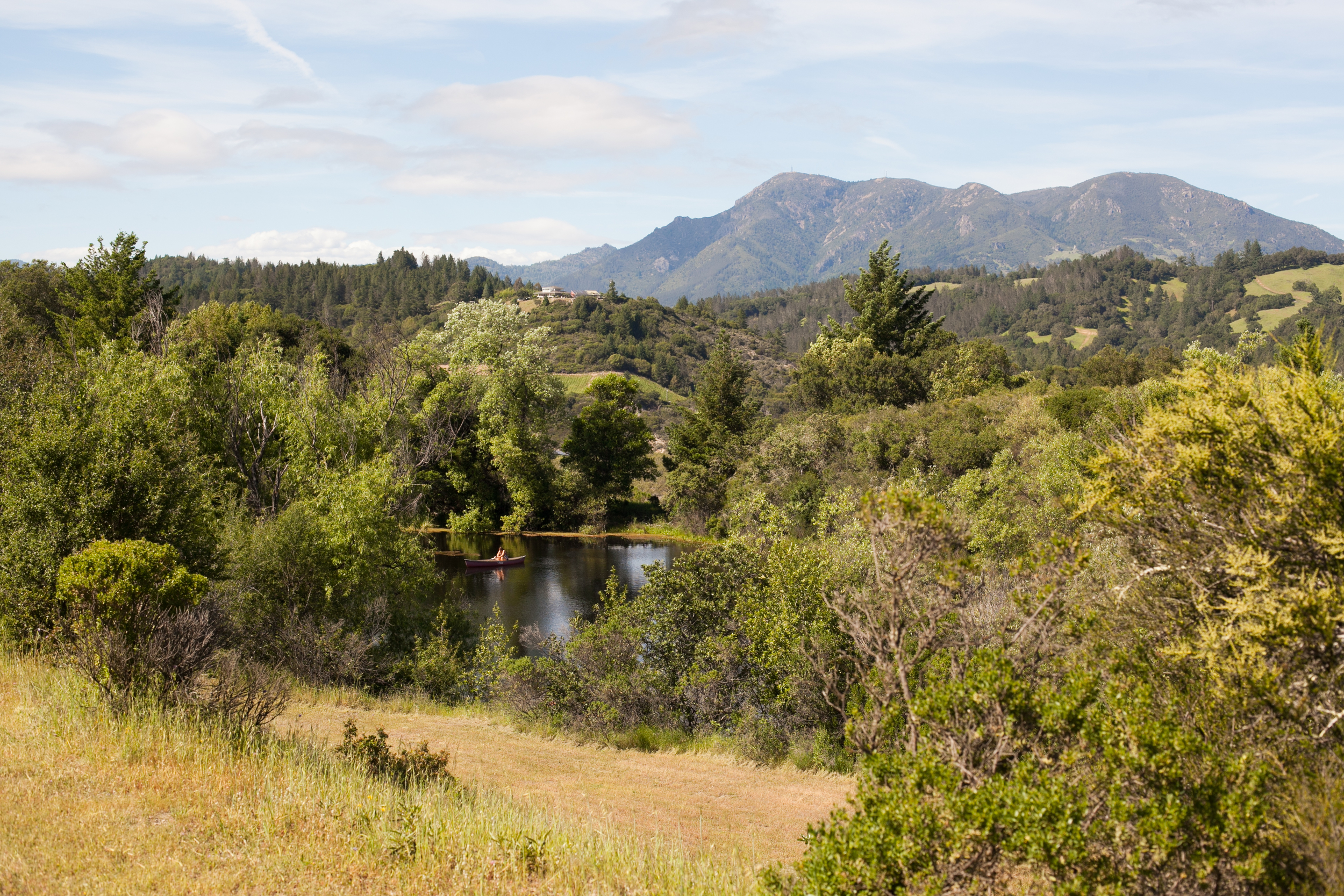 THFMayacamas0563.jpg