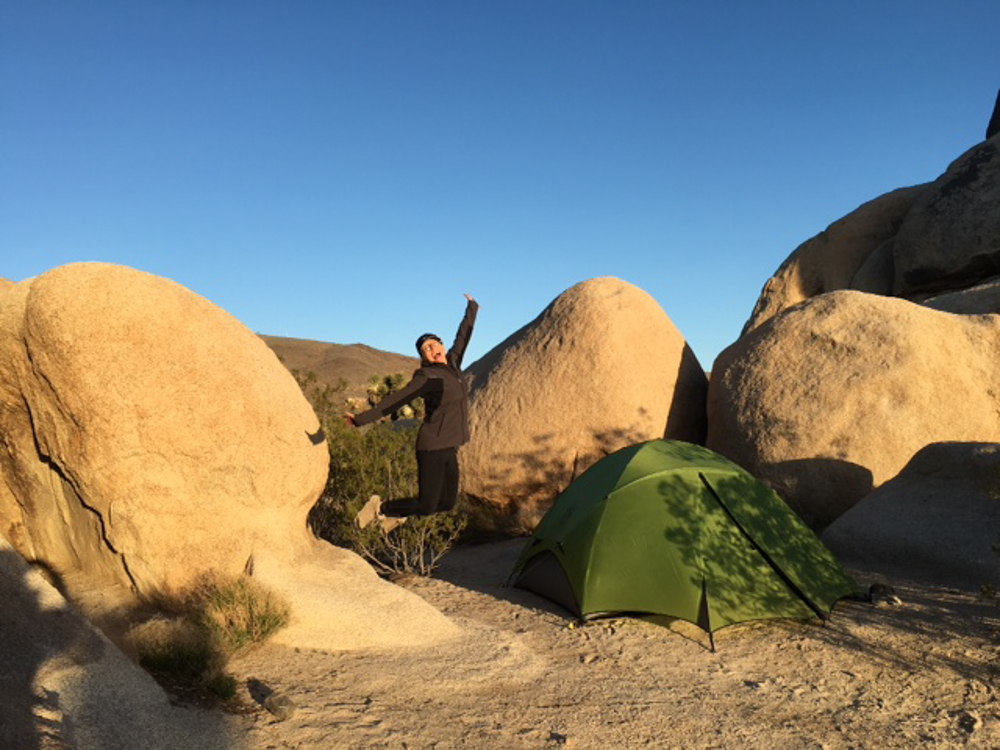 JoshuaTree0002.jpg