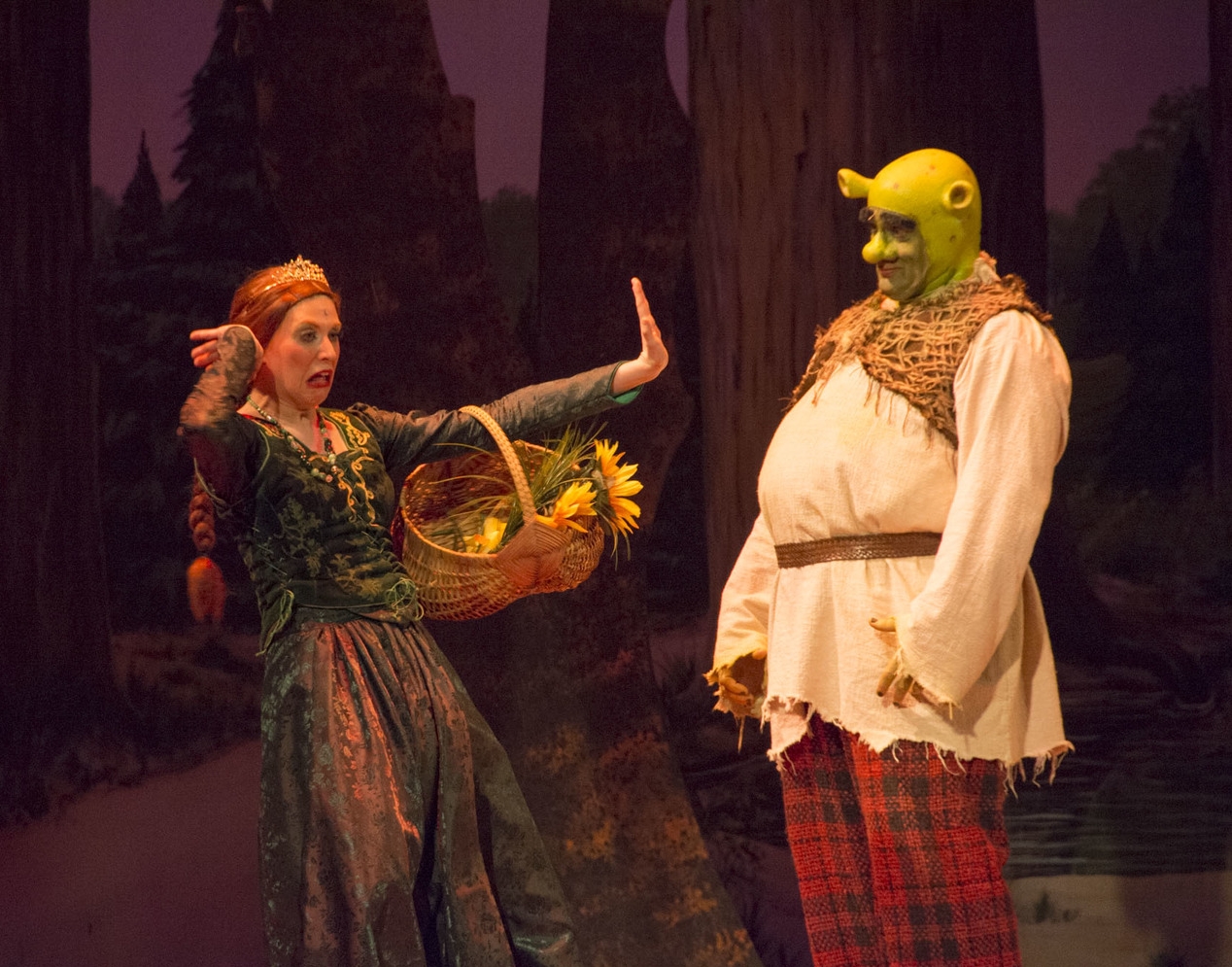 Fiona in "Shrek, the Musical" at the Palace Theatre in 2014