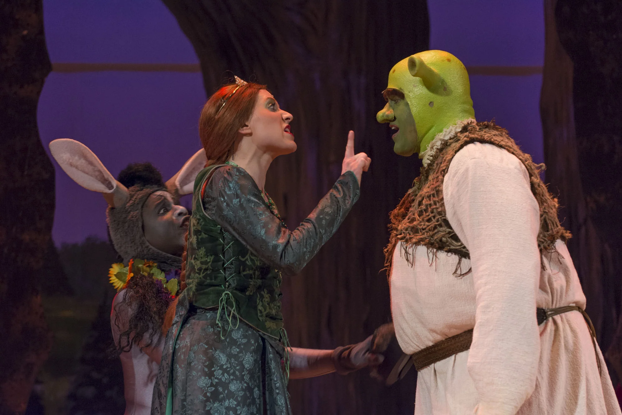 Fiona in "Shrek, the Musical" at the Palace Theatre in 2014