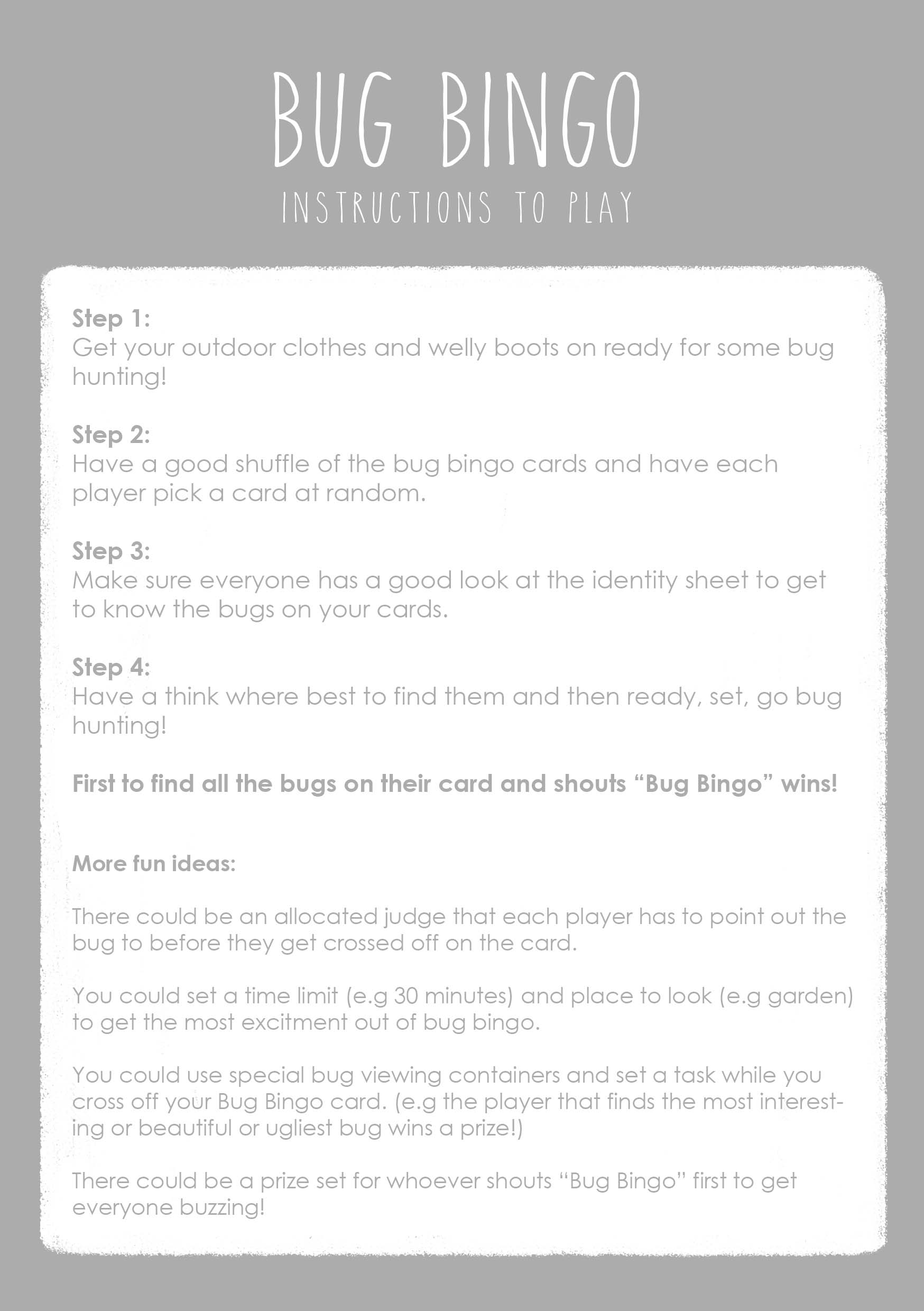 bugbingoinstructions_.jpg