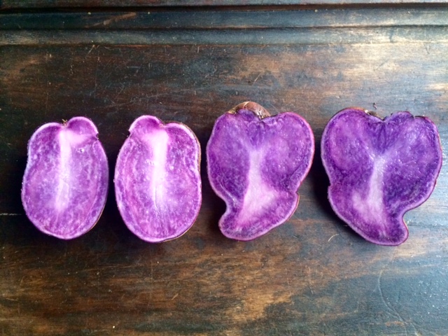 No filter! I sliced them open and captured them in natural light. Unbelievable!