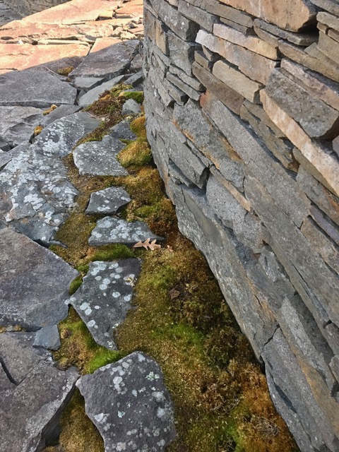 moss and rocks.jpg