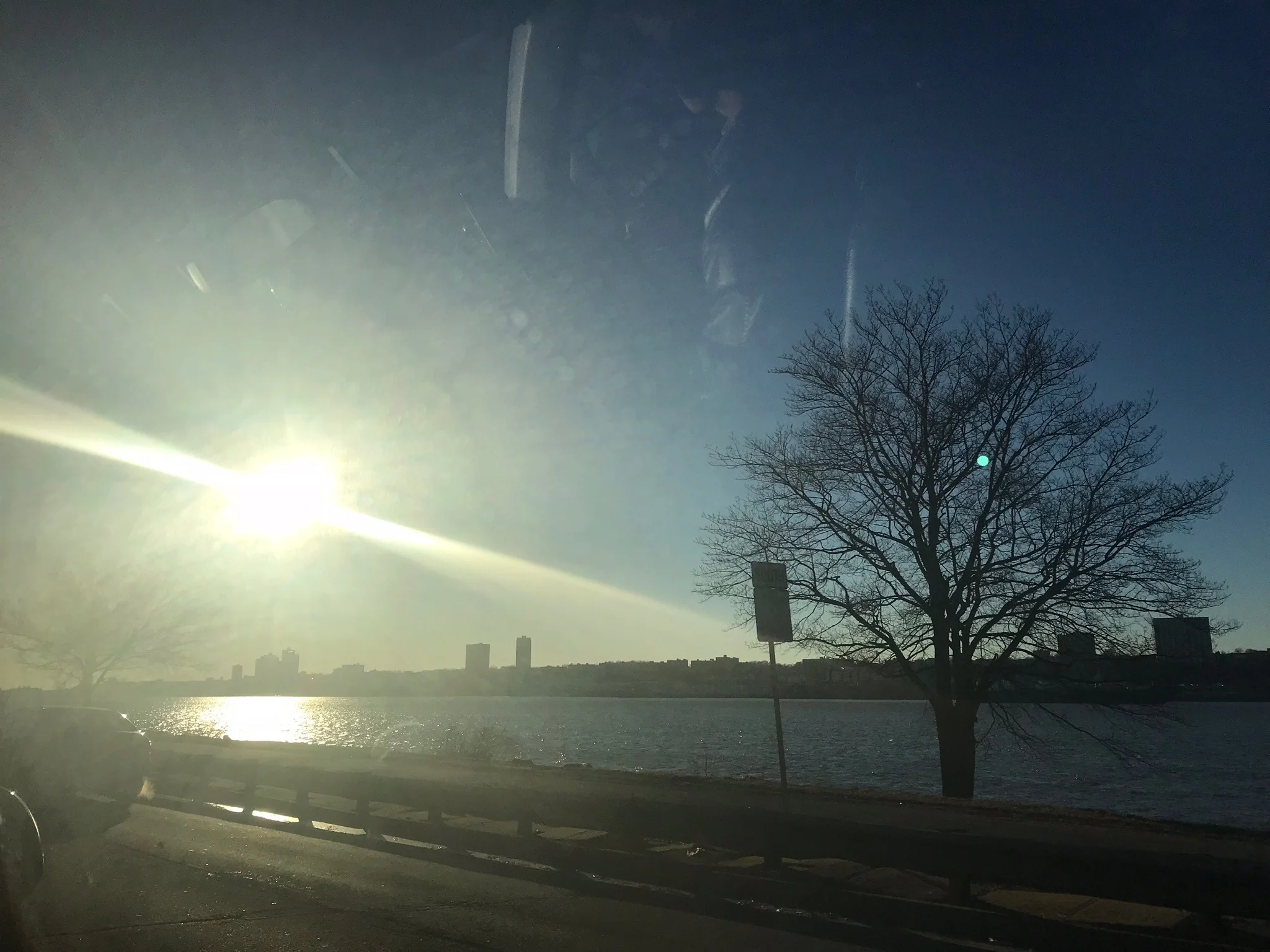 The sun came out! It melted the ice and burned off the fog! It's a new day!