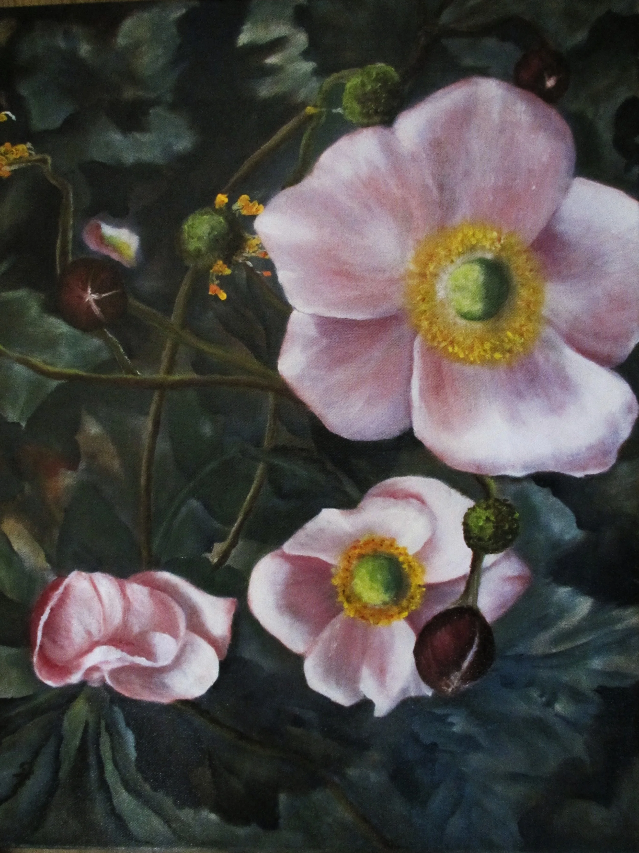 Pink Treasures