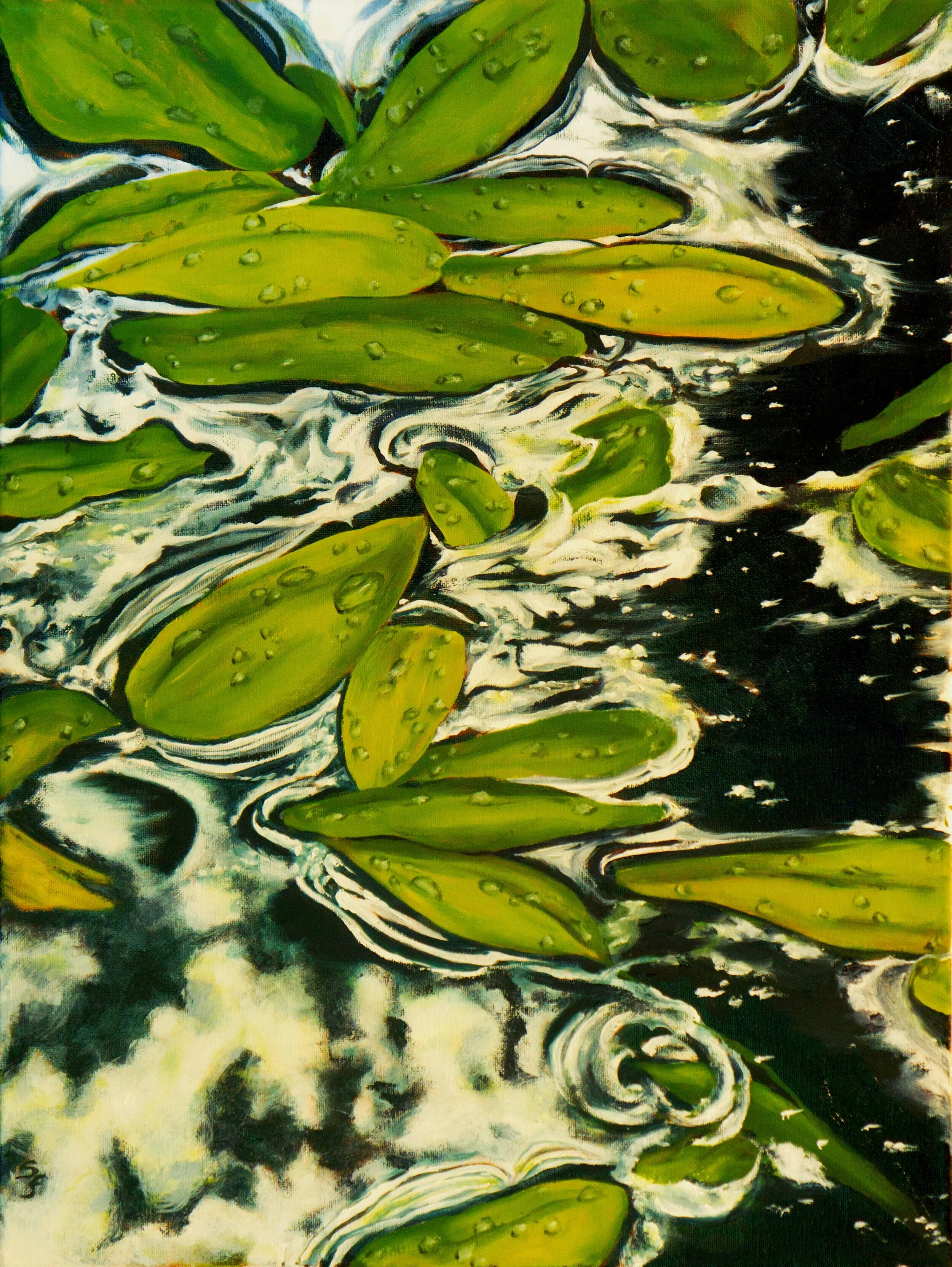 Pond Leaves