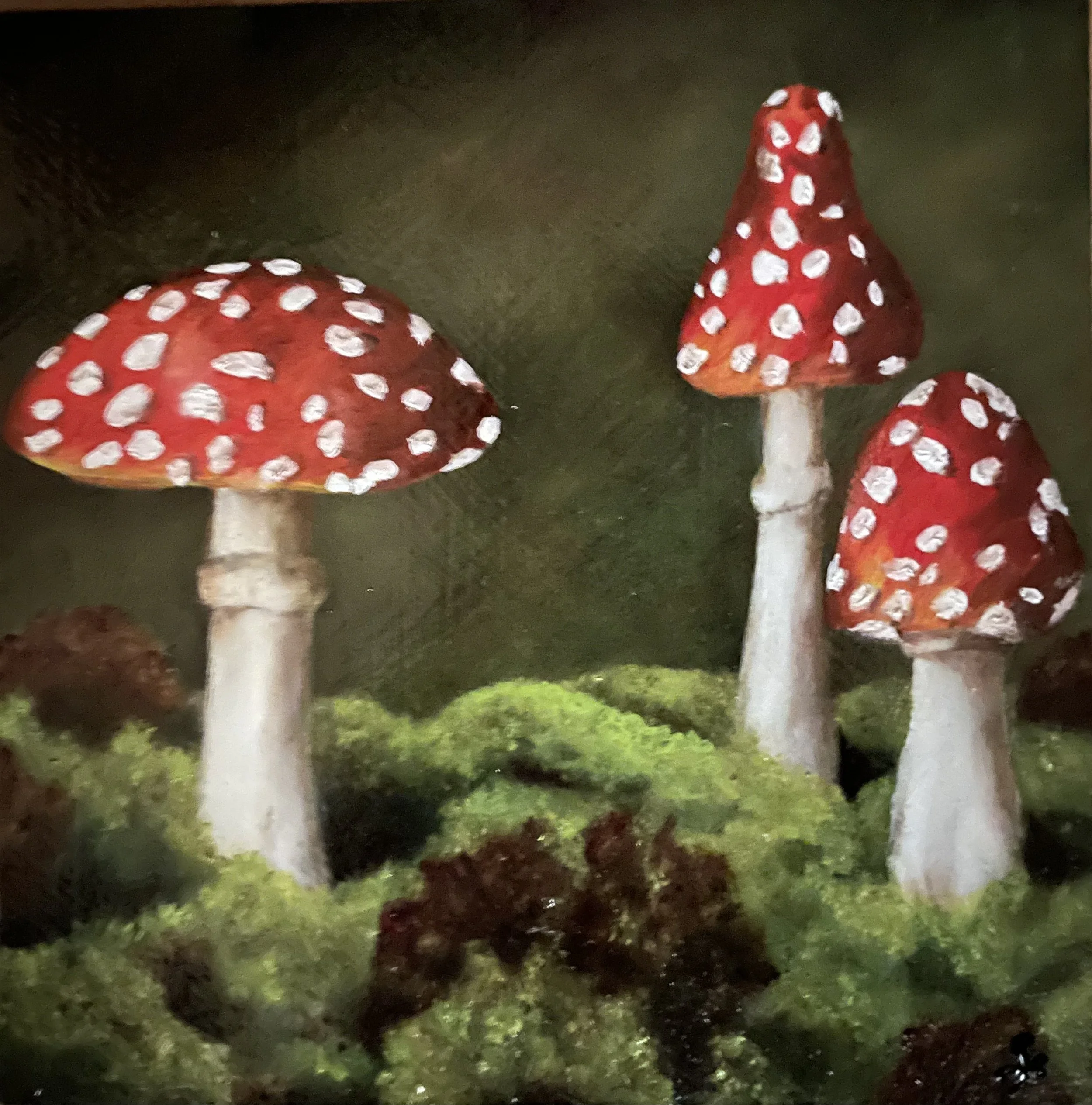 Mushrooms #1