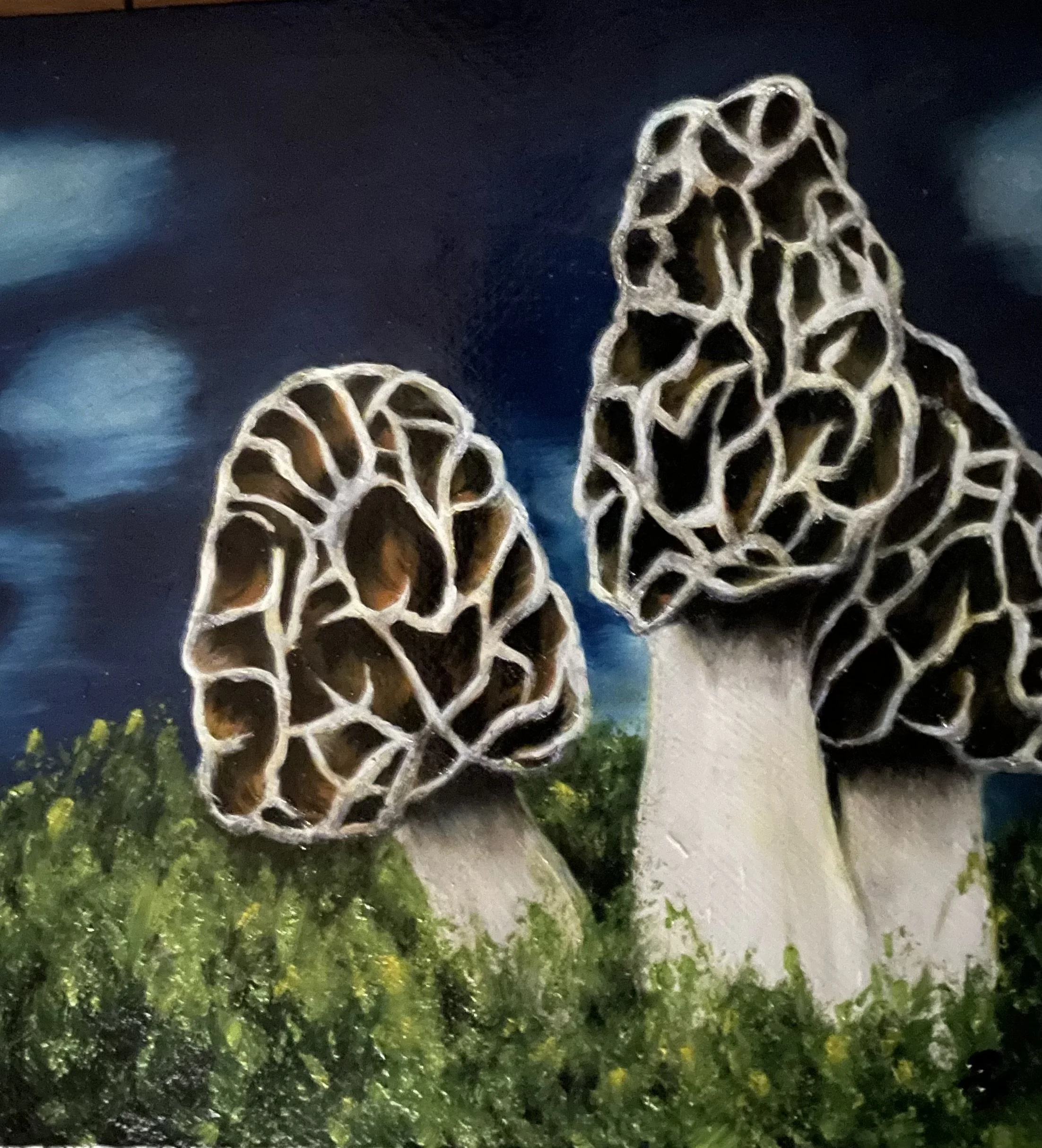 Mushrooms #2