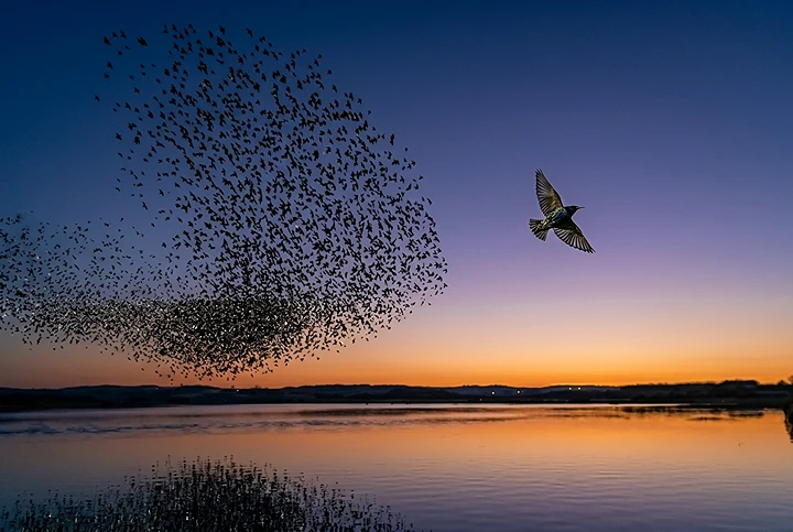 Gemini_Generated_Image_2tdgpj2tdgpj2tdg (1).png