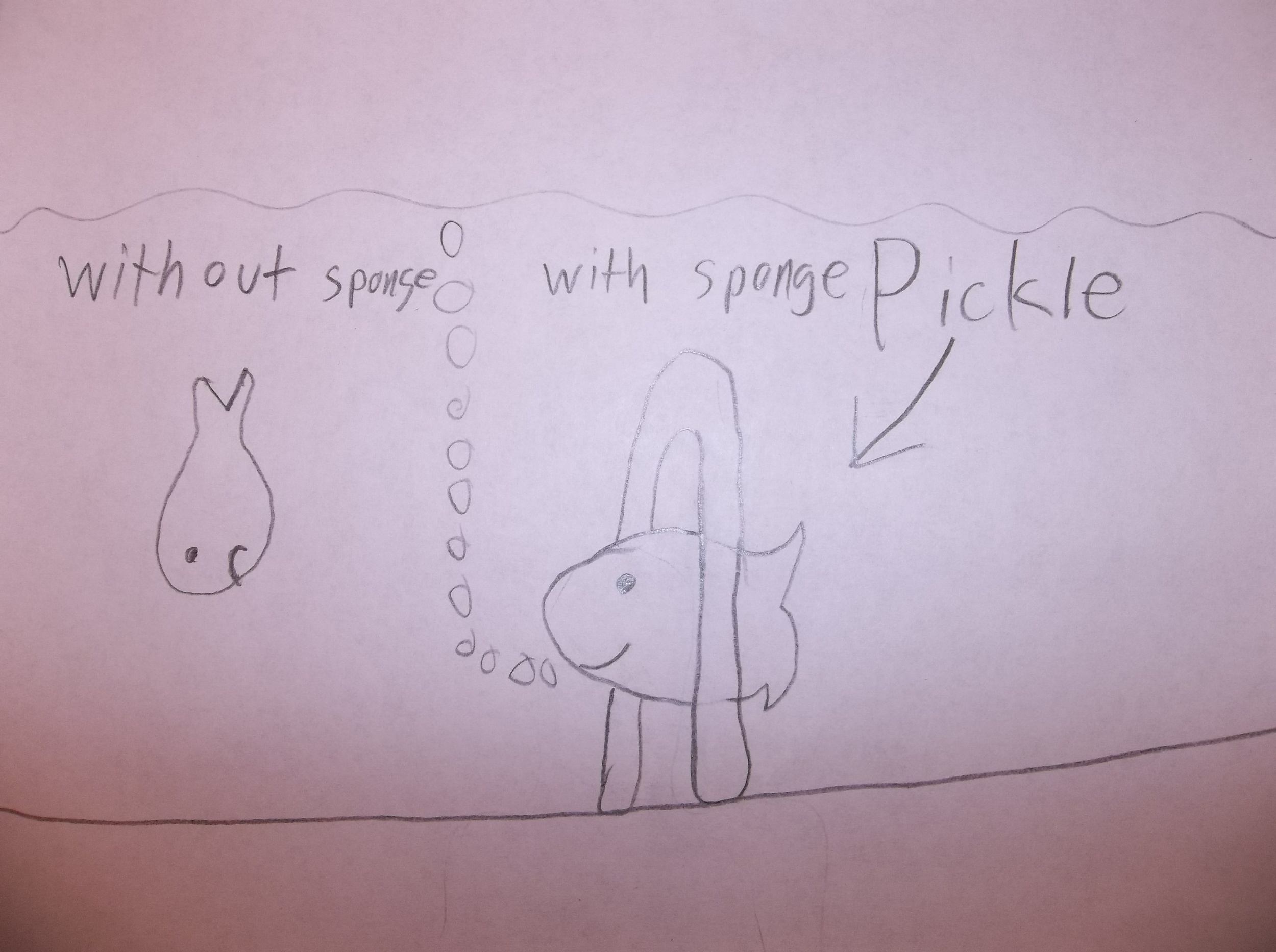 Student's drawing of "Pickle" after view Amy Nicholson's film and discussion with the filmmaker. 