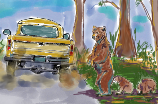 bearxroad.png