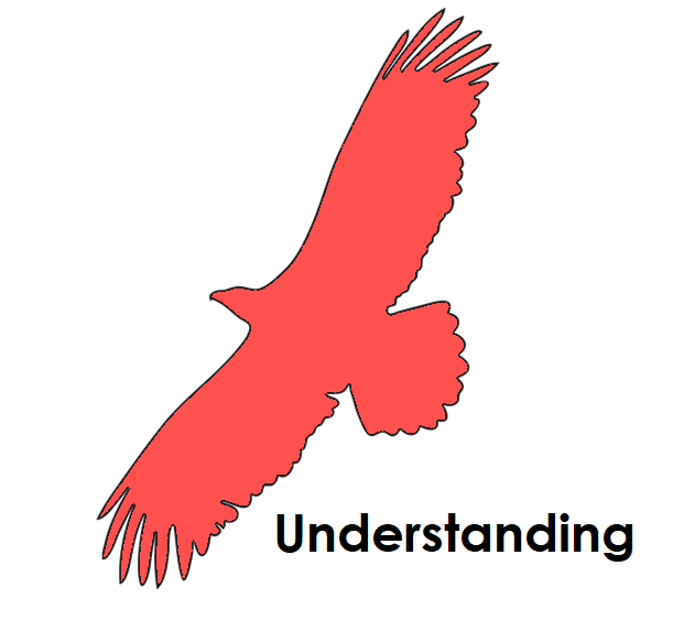understanding1.png