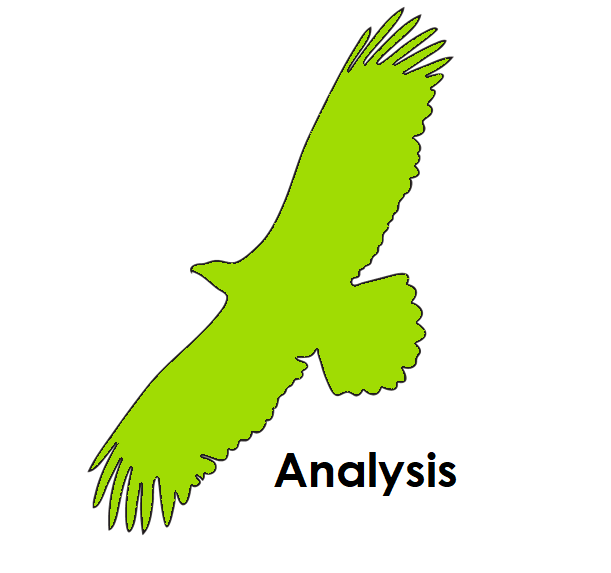 analysis1.png