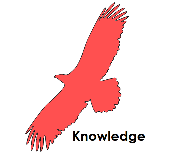 knowledge1.png