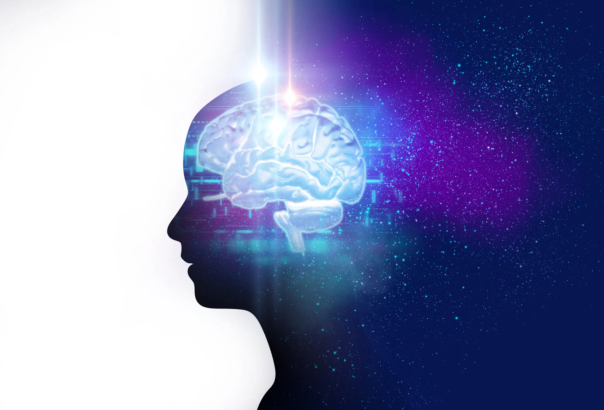 Connections to Real-World Learning and Experts