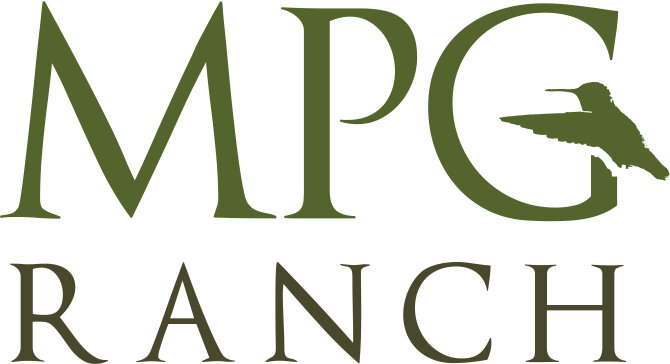 mpg logo.jpg