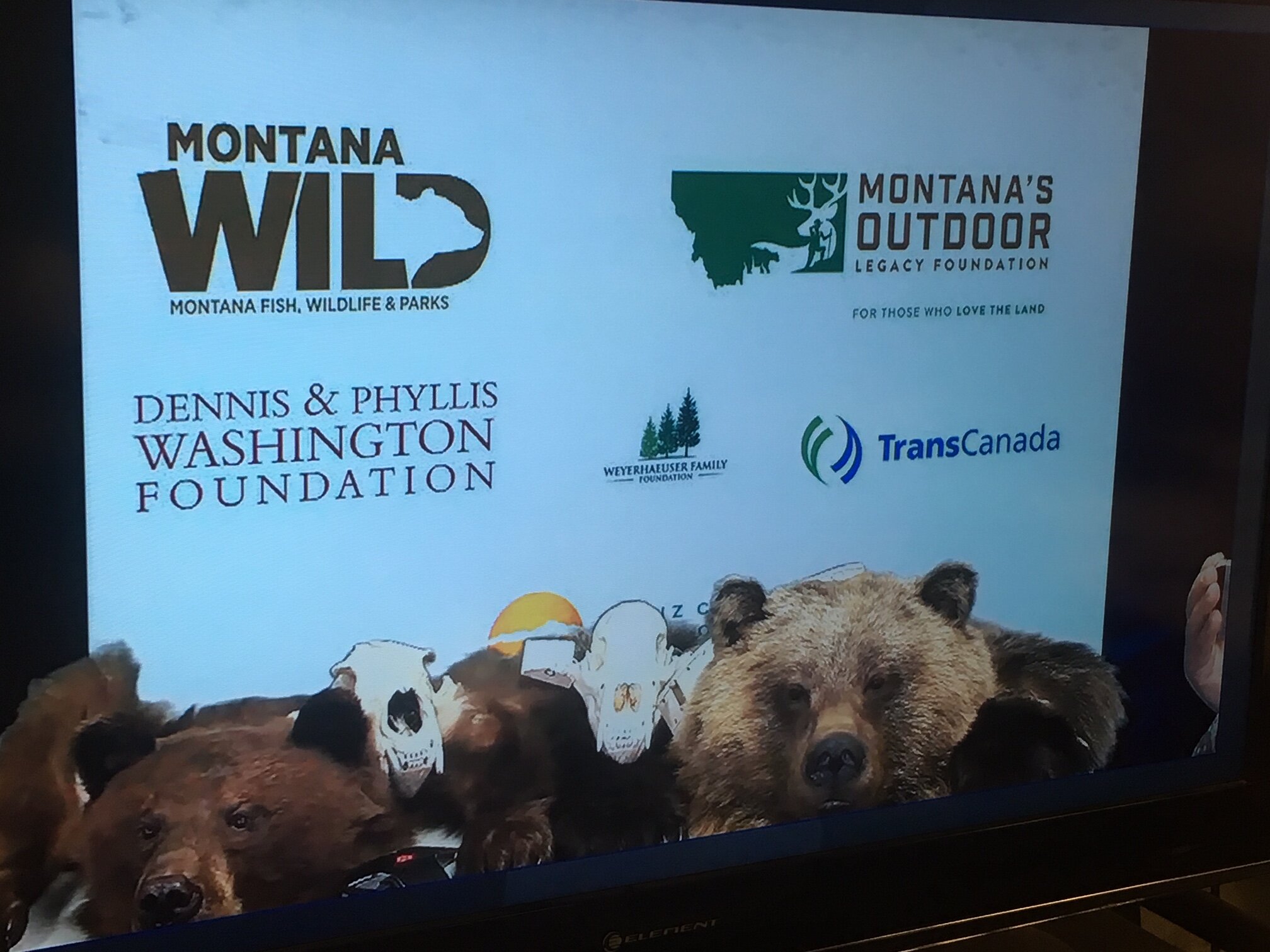 Montana Fish Wildlife and Parks Grizzly Bear IC Challenge