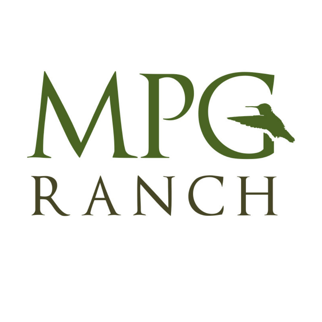 MPG Matrix We Virtually Connect Organizations That Have Rich mpg-matrix-we-virtually-connect-organizations-that-have-rich