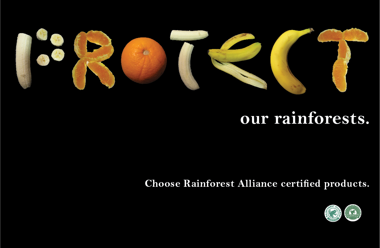 S2012_RainforestPosters-02.png