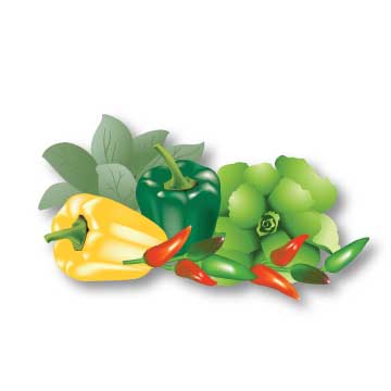 veggies.jpg