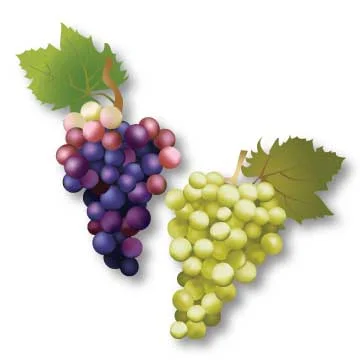 grapes.jpg