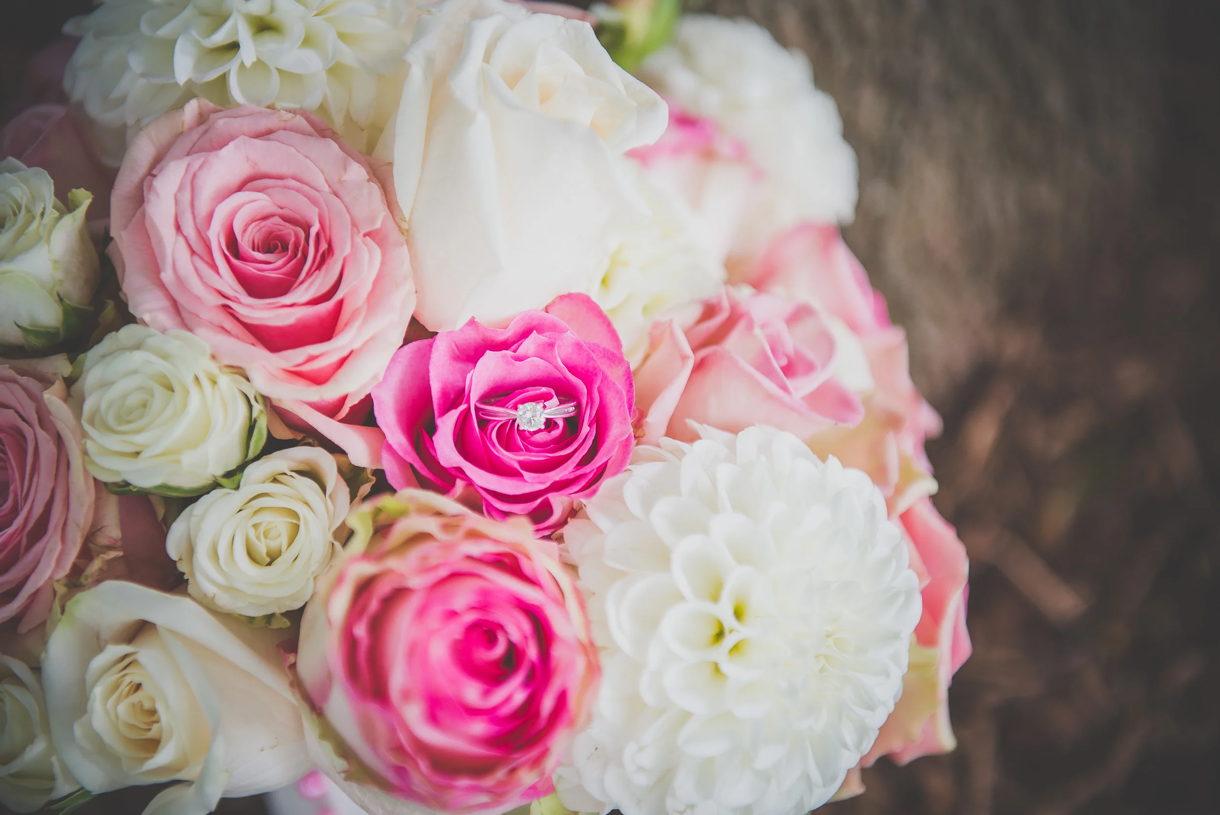 Willow Haven Photography-0039.jpg