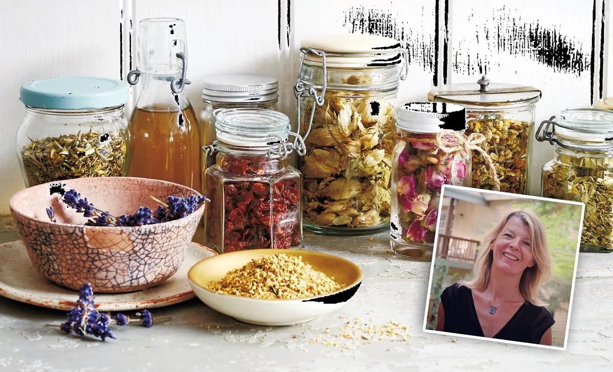 The English Herbalist