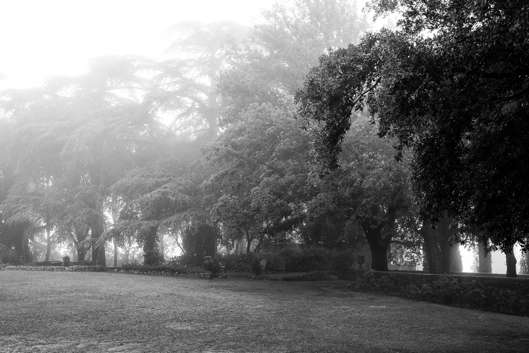 L1091590 copy.jpg