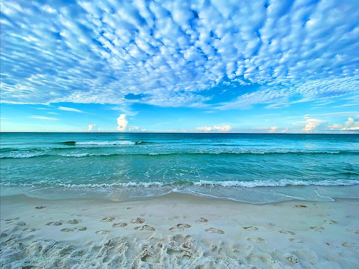beach1.jpeg