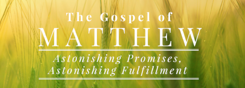 Copy of Wide Matthew Series.png