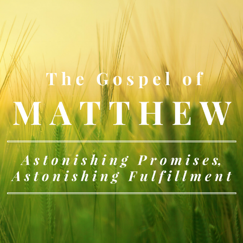 Matthew Series.png