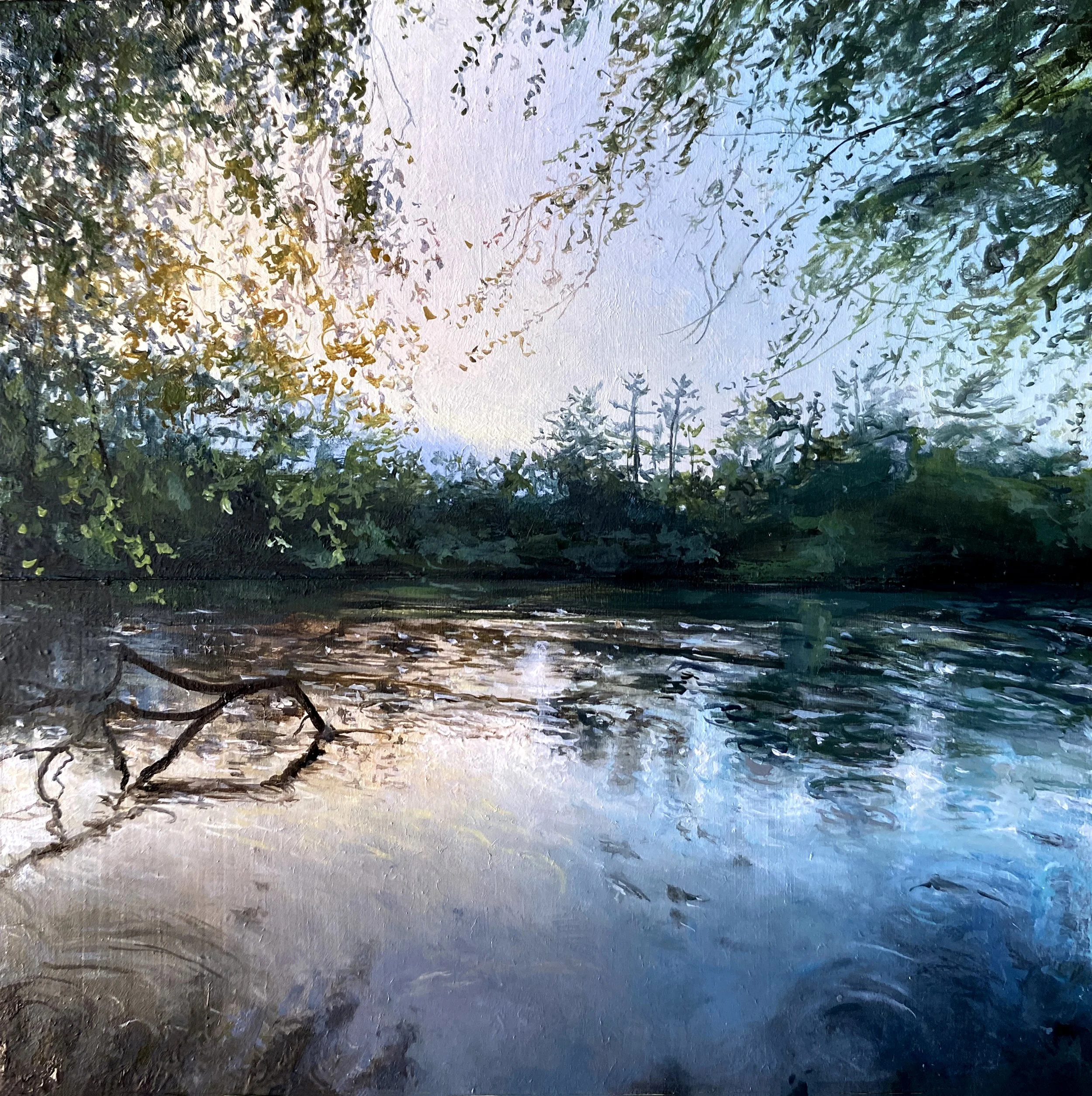 Givhans Ferry after the Storm