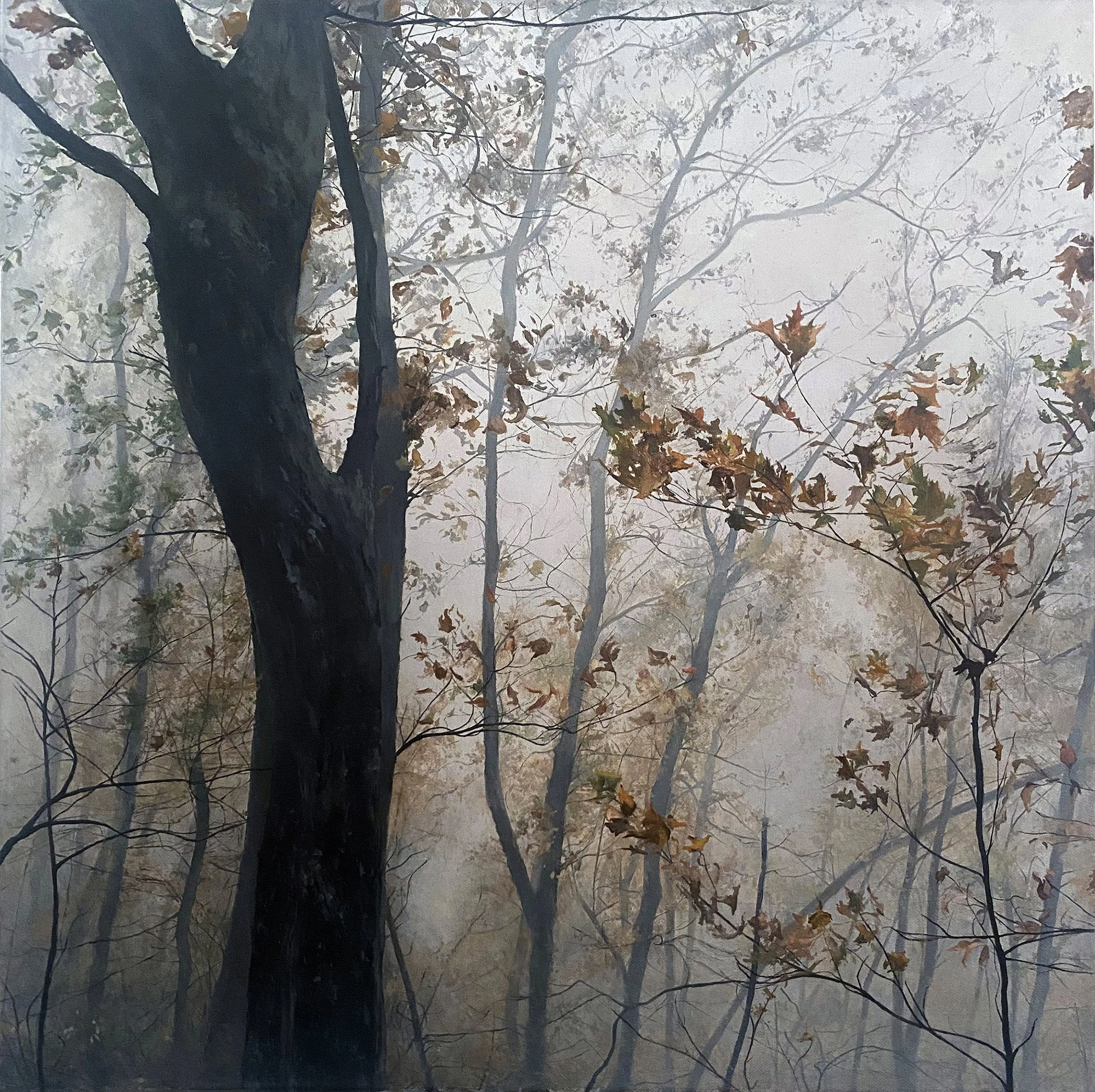 KimClark_The Lure of the Fog.jpg