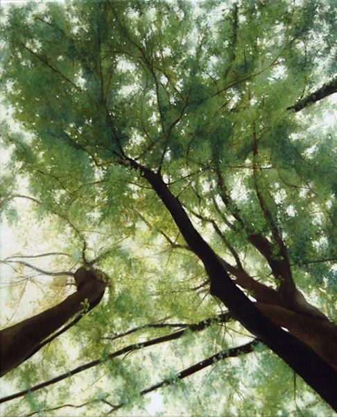 A Stop on the Road_2015_oil on canvas_26x16.jpg