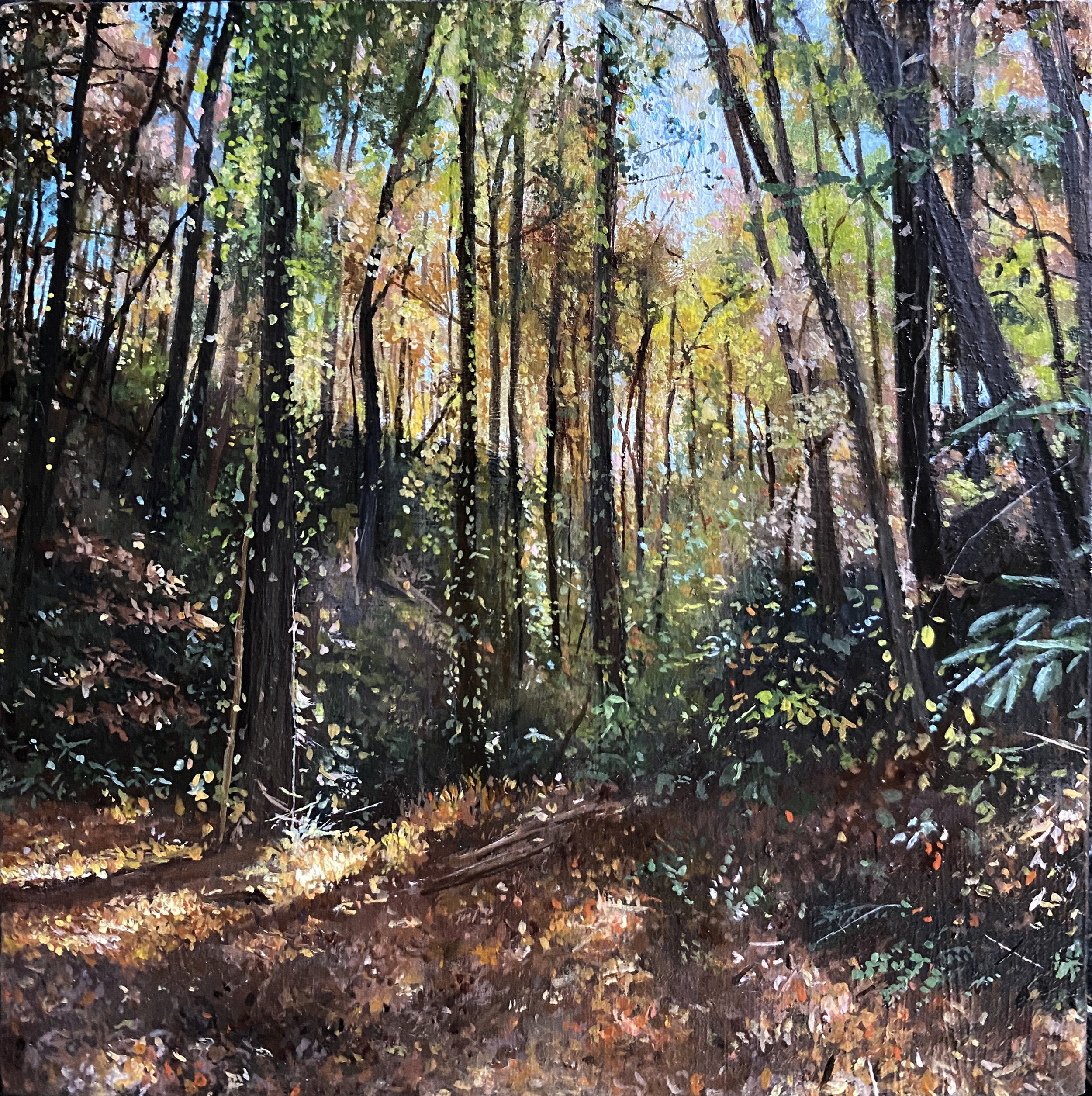 KClark_Chasing the Light_2024_oil on panel_4.25x4.25.JPG