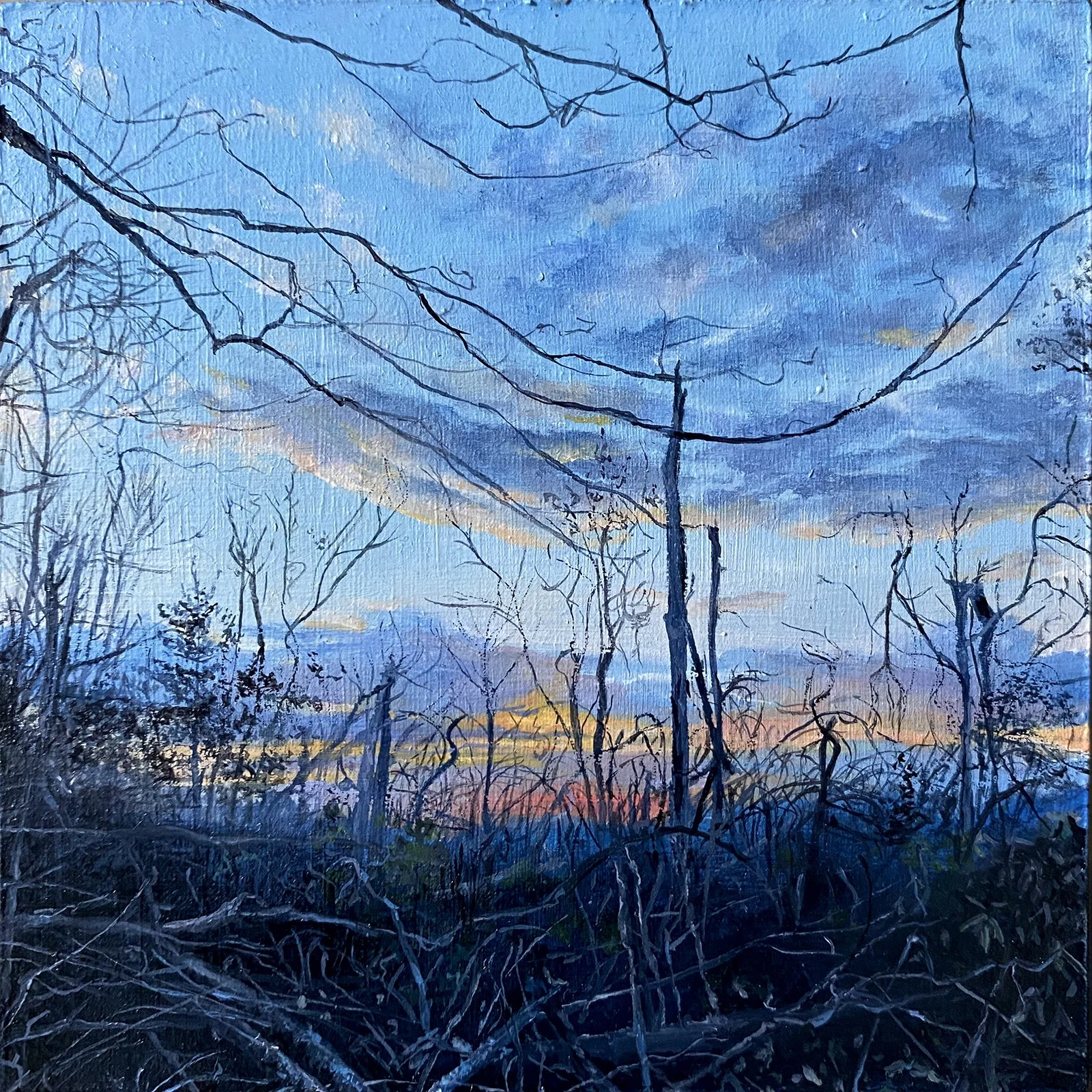 What Remains, the Silence after the Storm