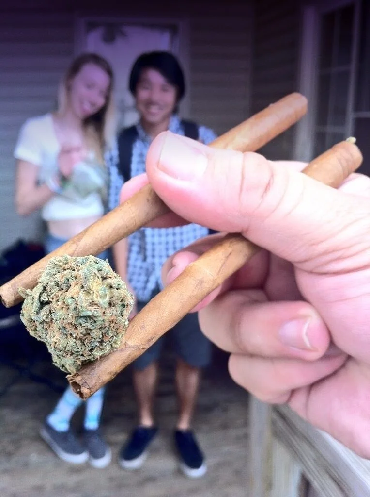 piffsponsa:
blunt
