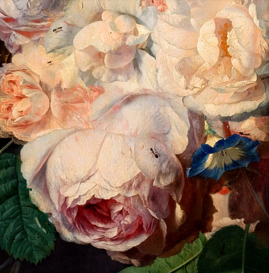 Jan van Huysum. Still Life with Flowers and Fruit (detail with rose). c.1700-49.
