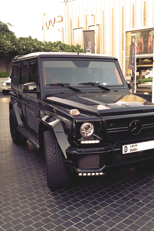 teamfytbl:

Brabus G65 | Source | More