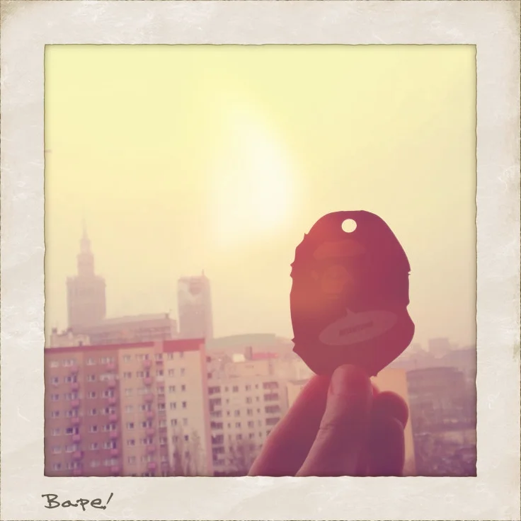 filiporkowski:

Ape shall never kill ape.