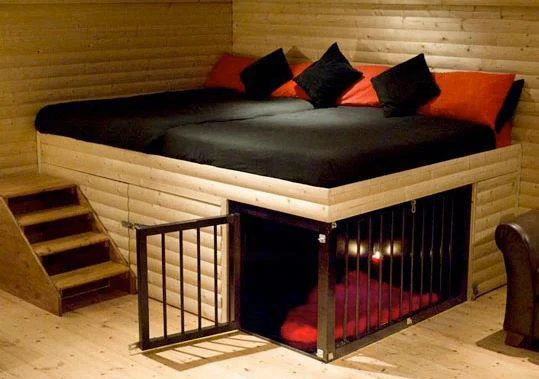 laugh-addict:




This is the cutest little thing!

i would make my friends sleep in the little cage thing

thats where the peasants sleep.

via laugh-addict 