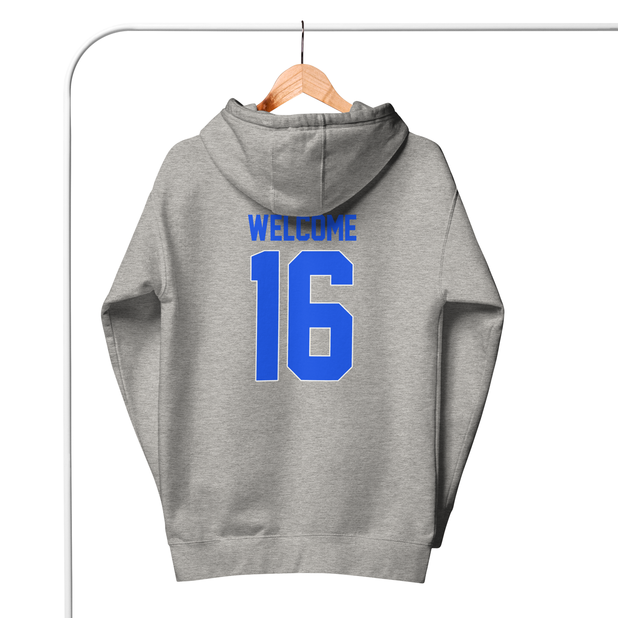 unisex-premium-hoodie-carbon-grey-back-677353df9e7af.png