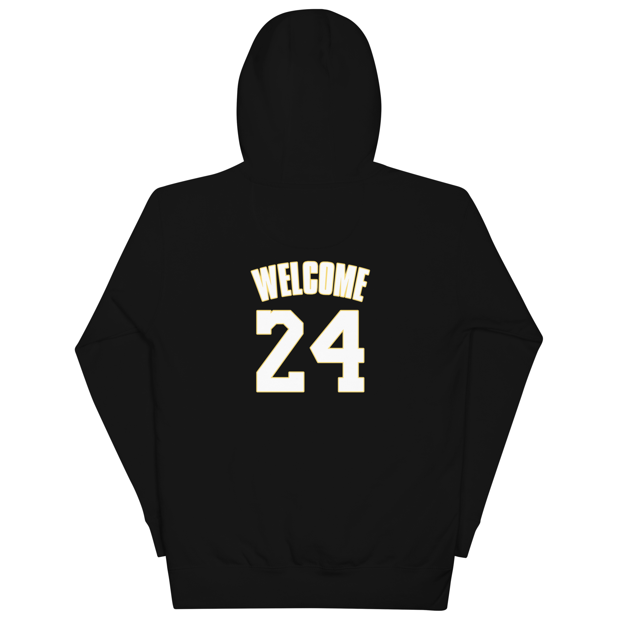 unisex-premium-hoodie-black-back-66ca8fa872606.png