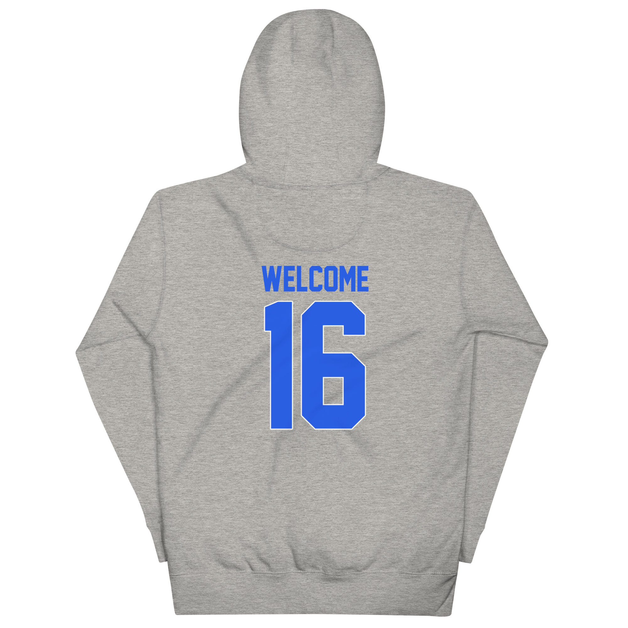 unisex-premium-hoodie-carbon-grey-back-677353df9ca4d.png