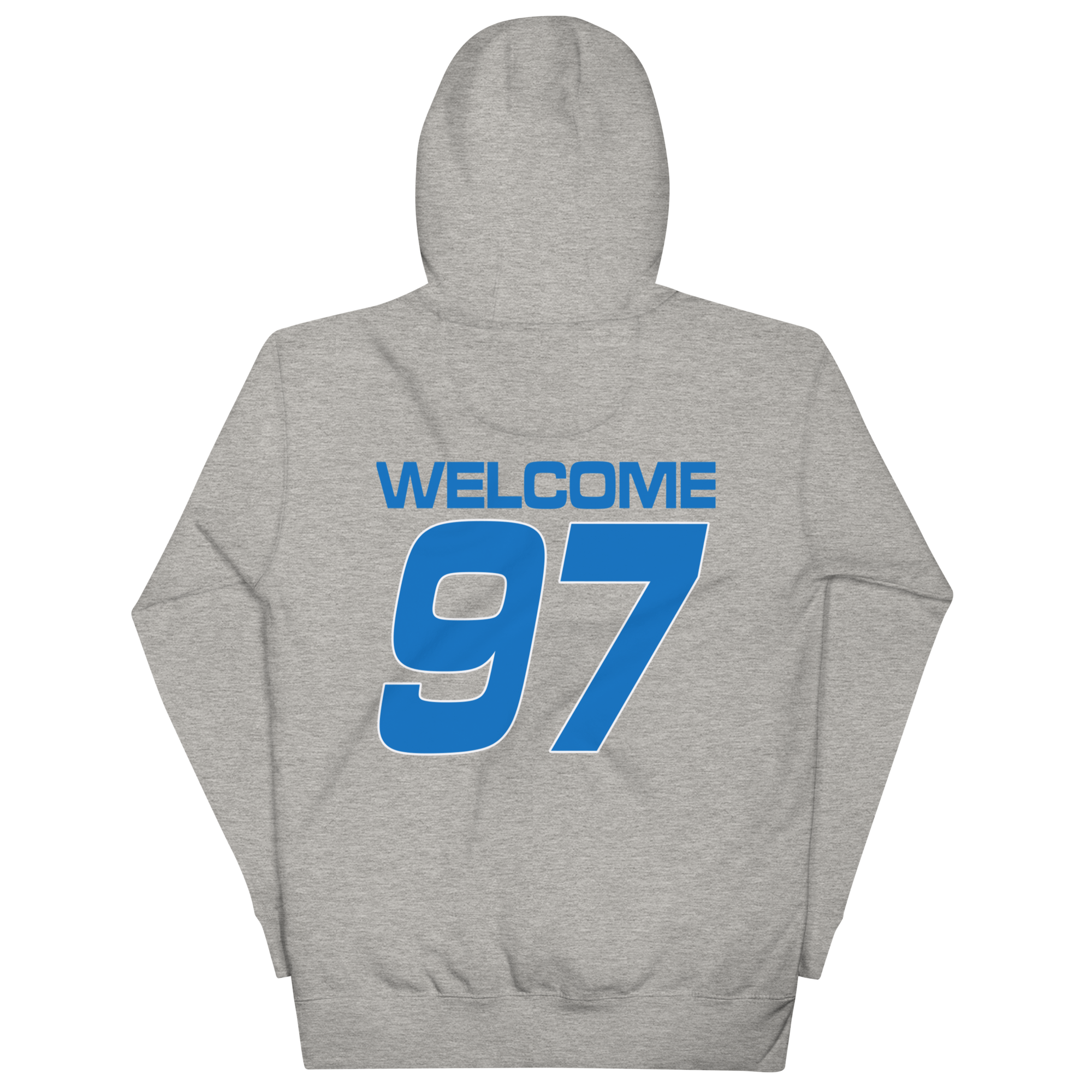 unisex-premium-hoodie-carbon-grey-back-66fdce599de90.png