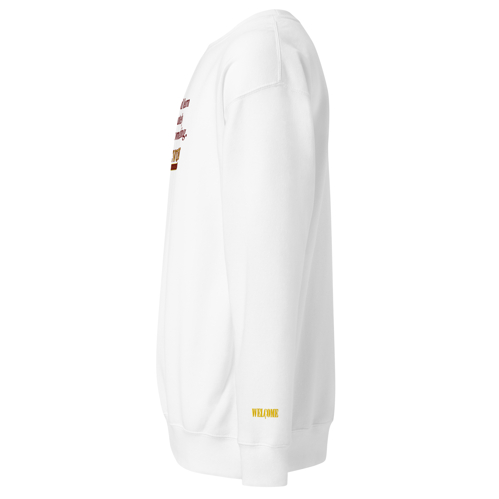 unisex-premium-sweatshirt-white-left-6ad559feeeb79.png