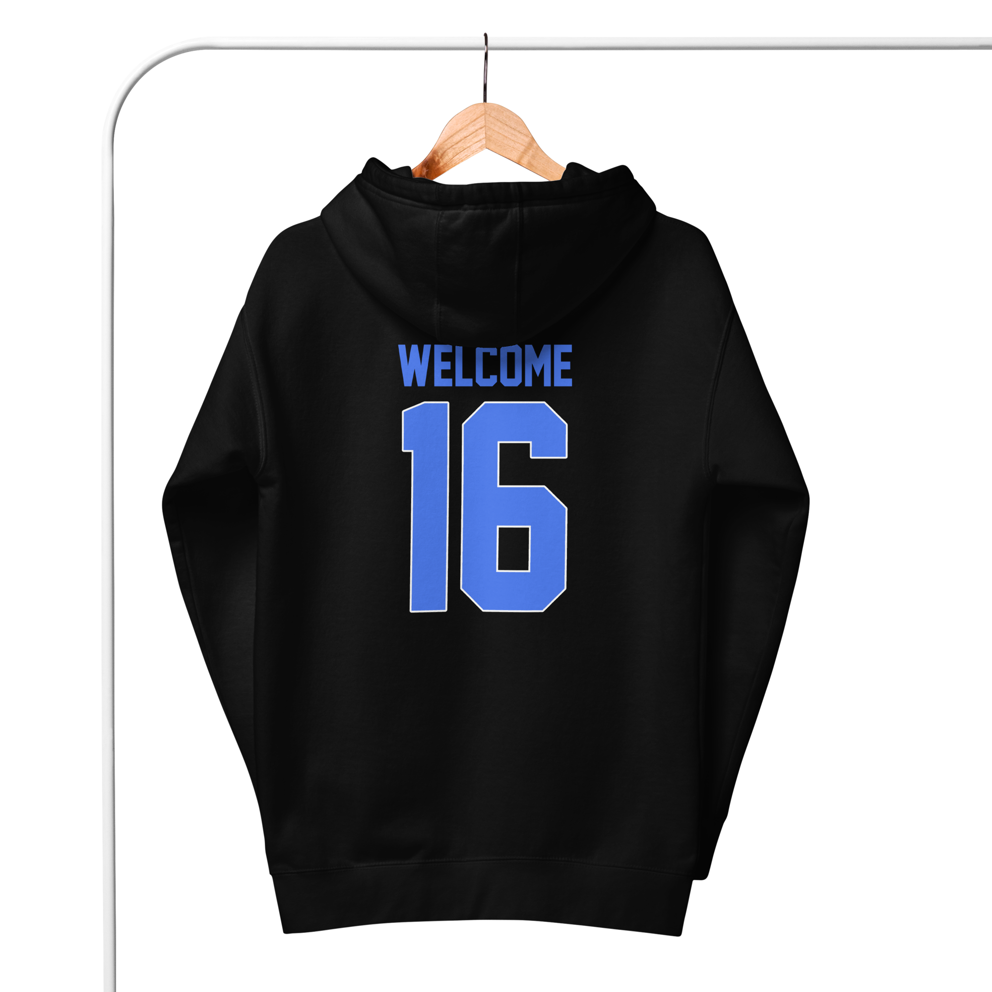 unisex-premium-hoodie-black-back-677353df93767.png